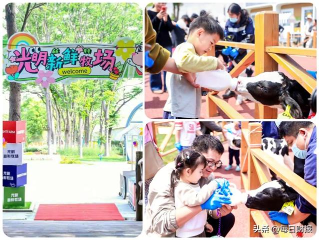 跃马迎新一路光明光明乳业以鲜活力量开启2026新征程(图12)