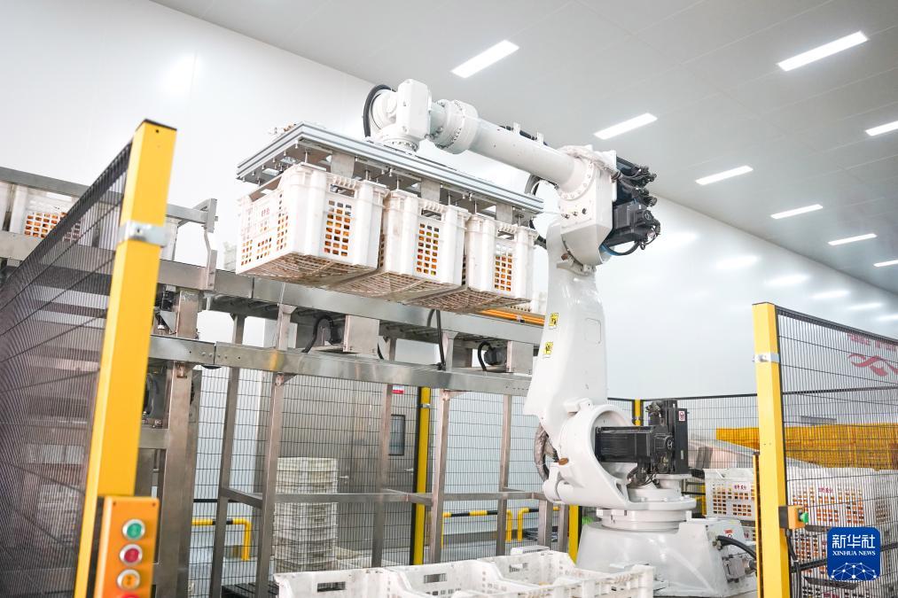 兴化经开区赴厦门推介千亿健康食品集群