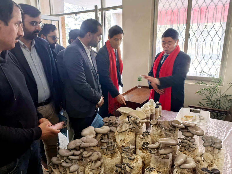 新春走基层丨新春坚守援外一线 福建专家五次出征海外(图2)