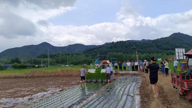 城市年鉴2025｜绿色消费：须实现可追溯的可持续信息披露