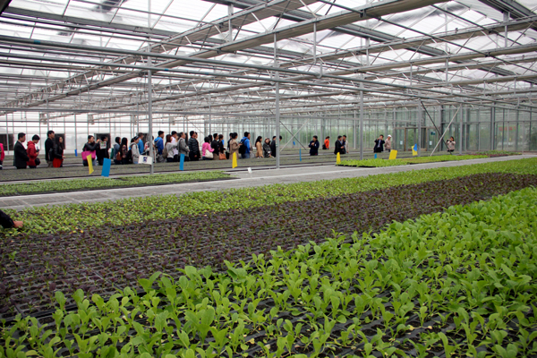 新疆无人机培训重磅机会！无人机写进中央一号文件农业换引擎