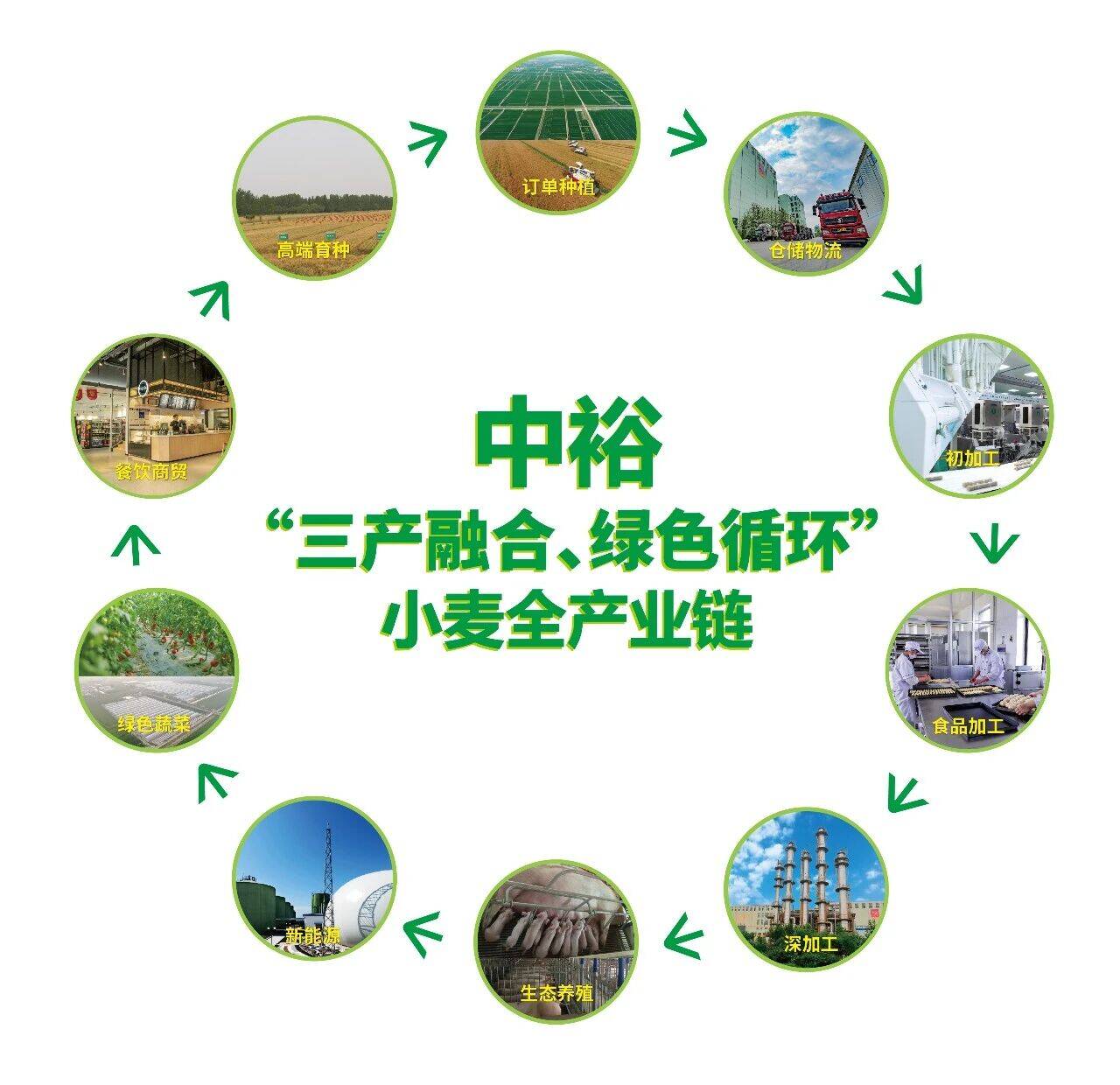 山东省科学技术进步奖一等奖！中裕食品“小麦绿色循环产业链联产增效加工模式创新与示范”项目获奖(图2)