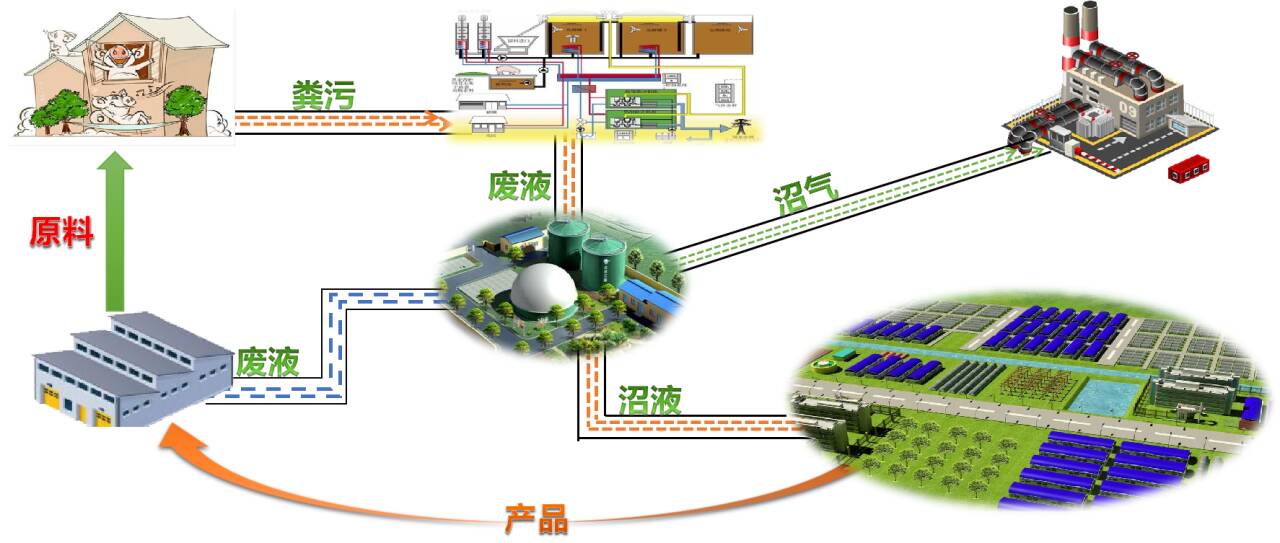 山东省科学技术进步奖一等奖！中裕食品“小麦绿色循环产业链联产增效加工模式创新与示范”项目获奖(图3)
