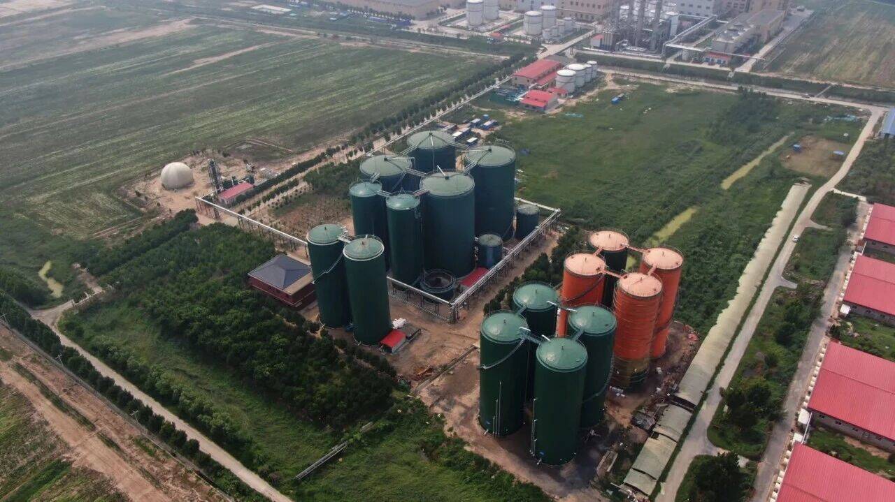 山东省科学技术进步奖一等奖！中裕食品“小麦绿色循环产业链联产增效加工模式创新与示范”项目获奖(图5)