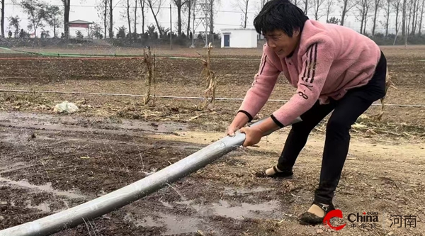 农业农村部：持续推进生猪产能综合调控(图1)