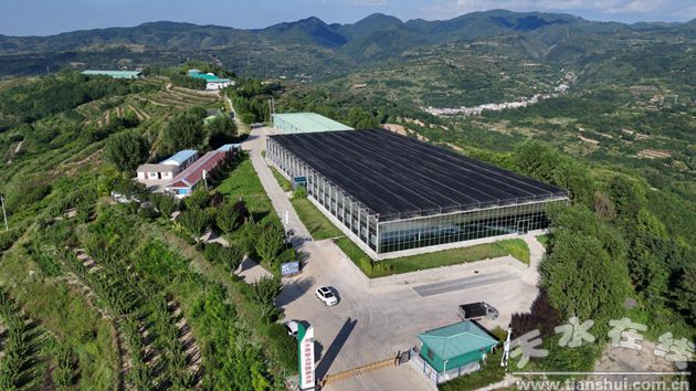 秦州农业高质量发展系列报道(下)(图1)