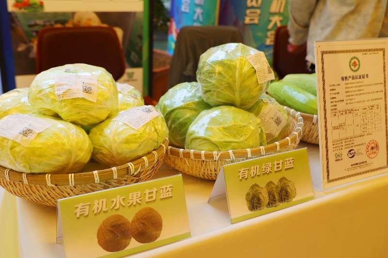甘肃张掖甘州区：深耕寒旱有机产业赋能绿色高质量发展(图4)