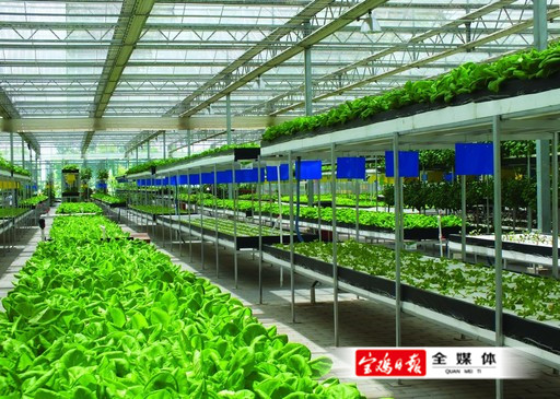 齐鲁银行落地山东省首笔“畜牧种质资源保护+气候韧性”可持续发展挂钩贷款(图1)