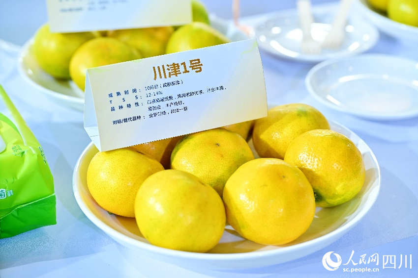 第十二届成都农博会探索农业未来(图5)