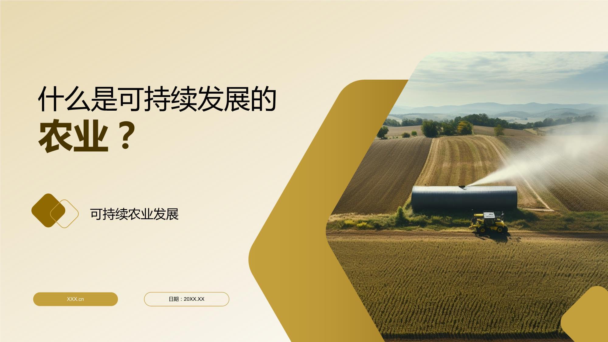 更好践行全球发展倡议推动落实联合国2030年可持续发展议程（有的放矢）(图1)