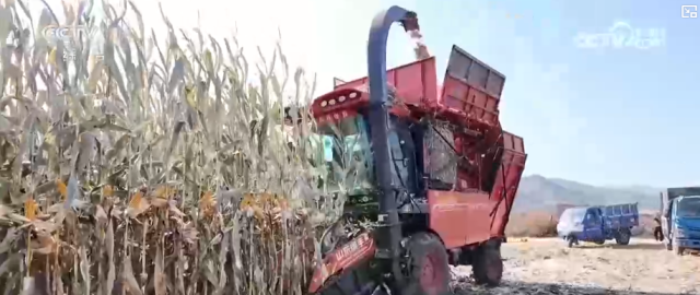 “科技护航+精准服务”筑牢秋粮丰产底气市场平稳粮食安全有可靠保障(图2)