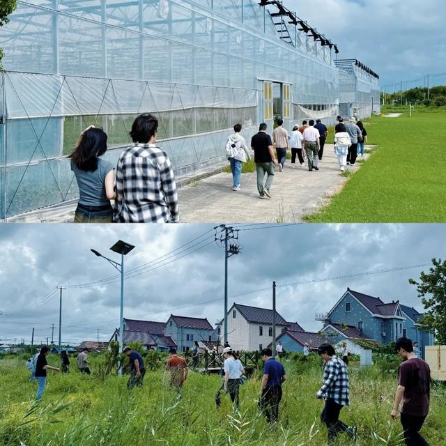 省政府召开常务会议部署落实灾后重建等工作(图1)