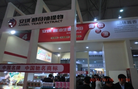 2012年第十二届全国食品添加剂和配料展览会（FIC2012）(图1)