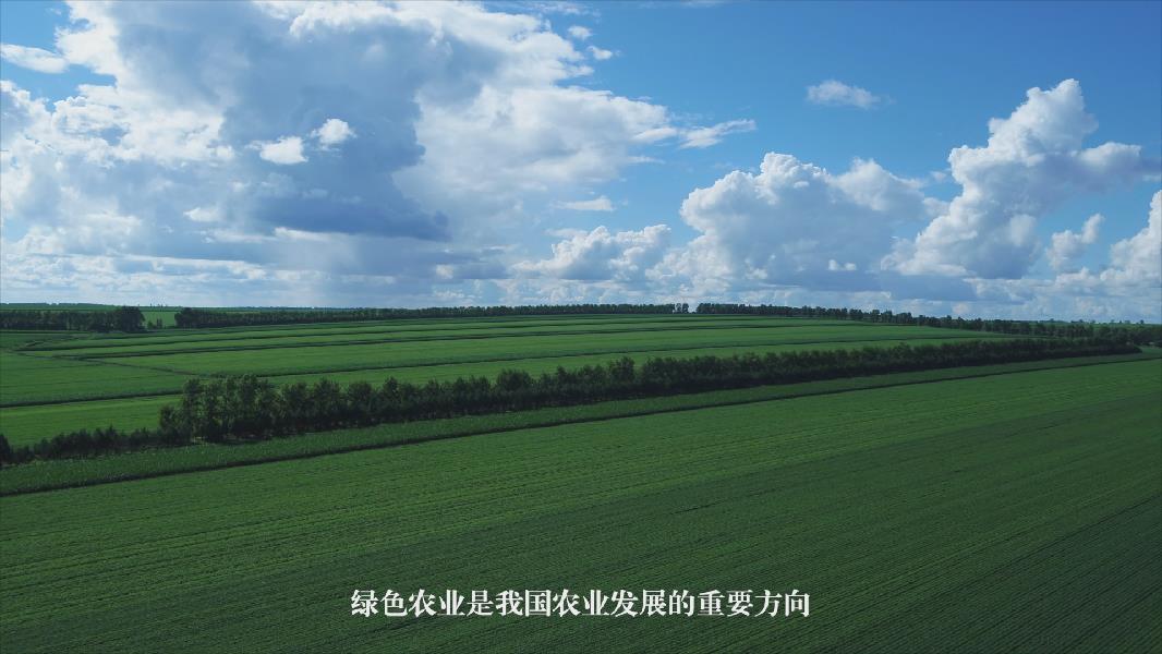央视快评：让农业强起来农村美起来农民富(图1)